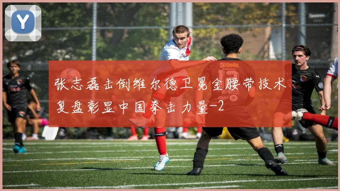 张志磊击倒维尔德卫冕金腰带技术复盘彰显中国拳击力量
