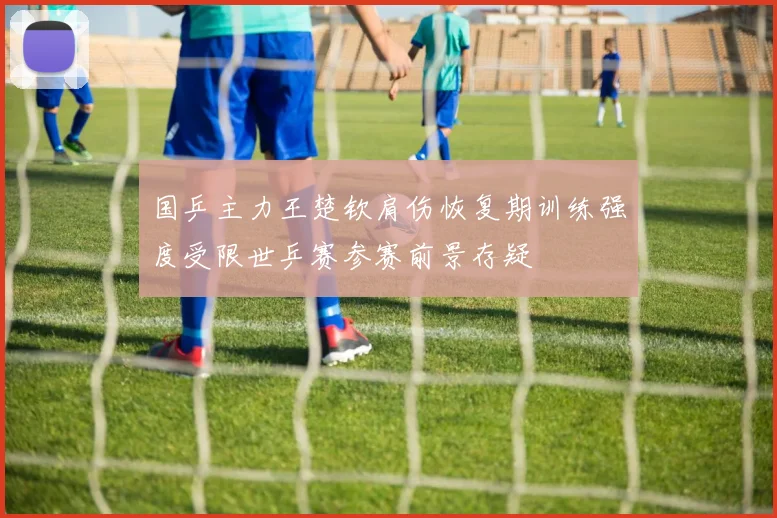 国乒主力王楚钦肩伤恢复期训练强度受限世乒赛参赛前景存疑