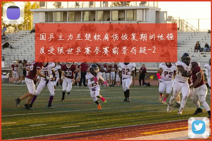 国乒主力王楚钦肩伤恢复期训练强度受限世乒赛参赛前景存疑